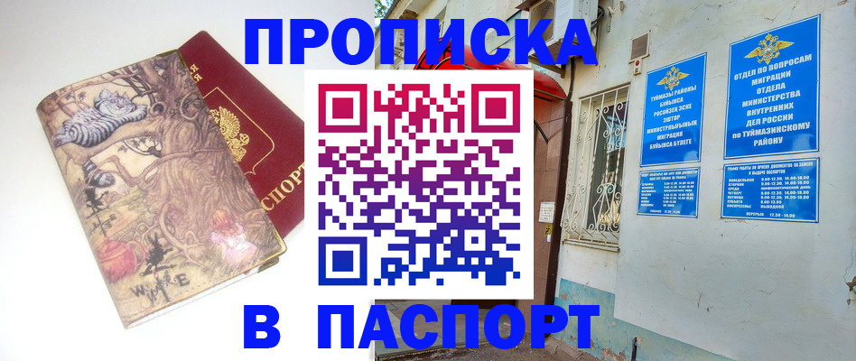 пропишу в квартире в Козельске
